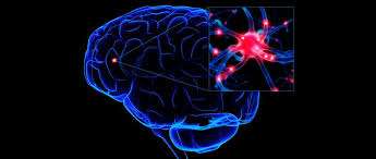 Brain damage